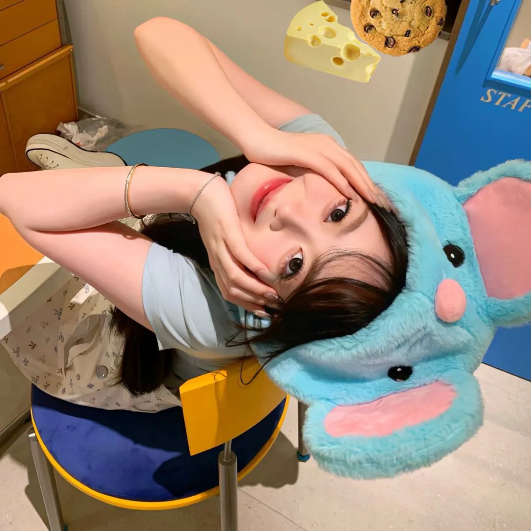年度精选