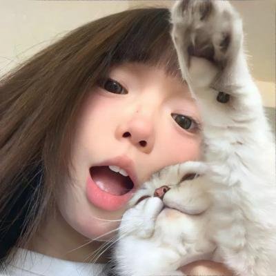 影子拳手