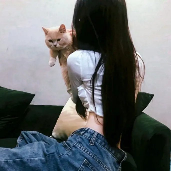 铁胆神枪